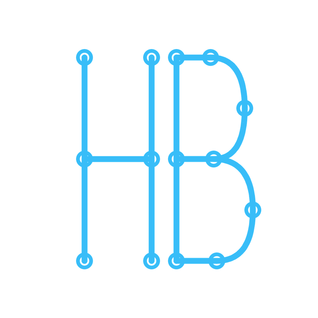 BELCAIDA Logo